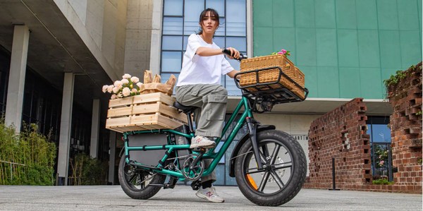 Xe đạp trợ lực điện FIIDO T2