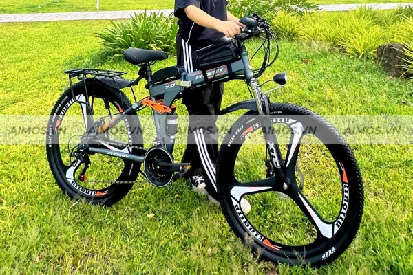 Xe đạp trợ lực điện Phoenix Đà Nẵng phù hợp cho nhiều đối tượng