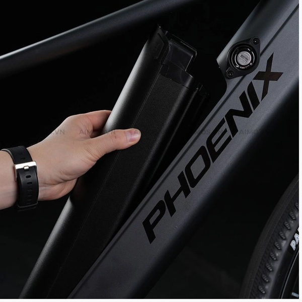 Pin Lithium có thể tháo rời Xe đạp trợ lực điện Phoenix LM