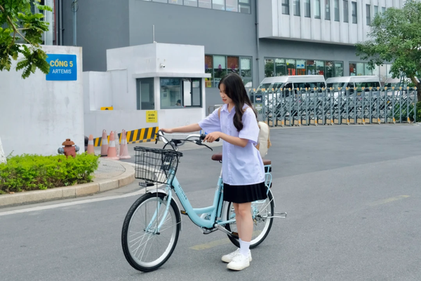 Xe đạp trợ lực điện WiiBike Mira