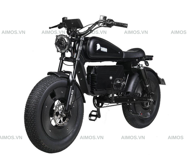 Xe đạp trợ lực điện Warrior (Himoto)