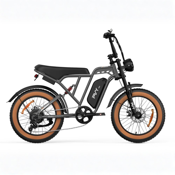 Xe đạp trợ lực điện PVY A20