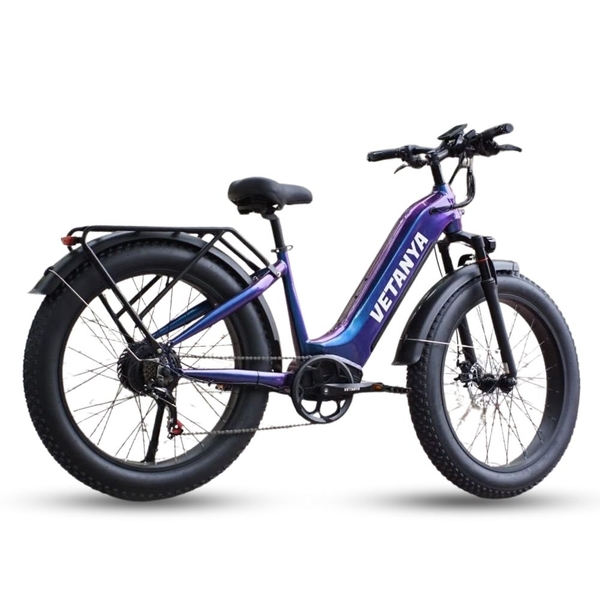 Xe đạp trợ lực điện VETANYA