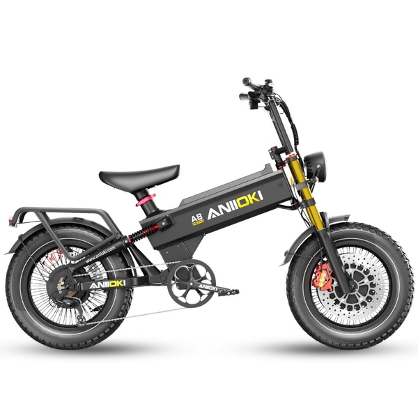 Xe đạp trợ lực điện ANIIOKI A8 Pro Max 60V80Ah động cơ kép