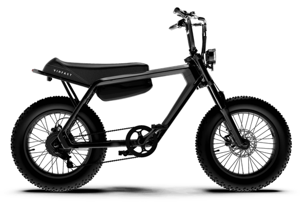 Xe đạp trợ lực điện VF DrgnFly