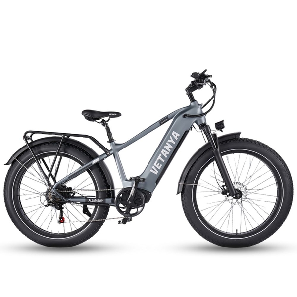Xe đạp trợ lực điện VETANYA