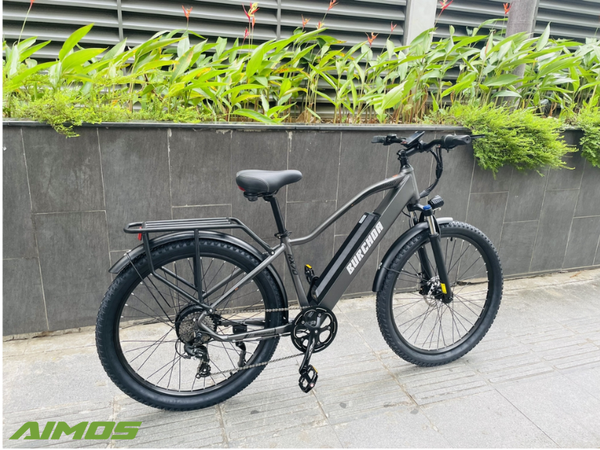 Xe đạp trợ lực điện Burchda RX70 | Giảm trực tiếp 2.000.000đ
