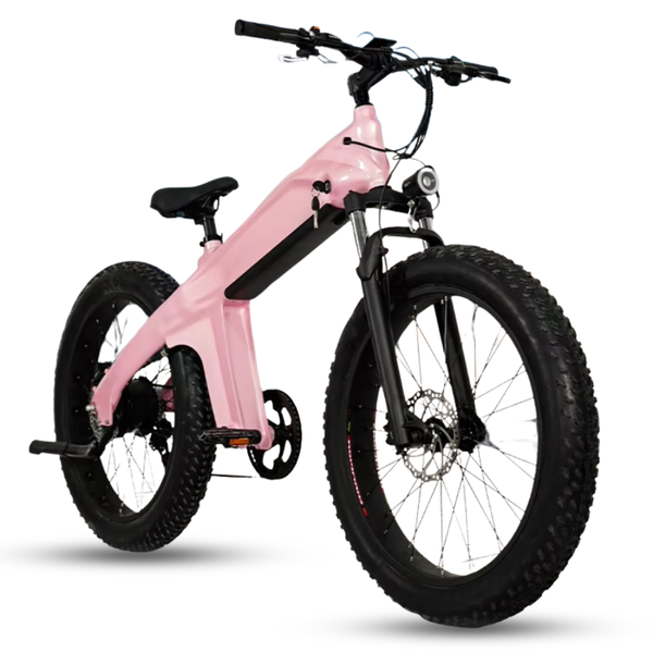 Xe đạp trợ lực điện Aimos Dolphin