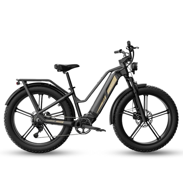 Xe Đạp Trợ Lực Điện Fiido Titan M25