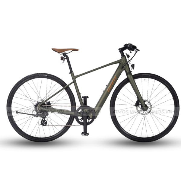 Xe Đạp Trợ Lực Điện GIANT FASTER E+