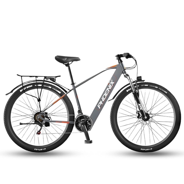 Xe đạp trợ lực điện Phoenix 599