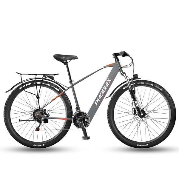 Xe đạp trợ lực điện Phoenix 599