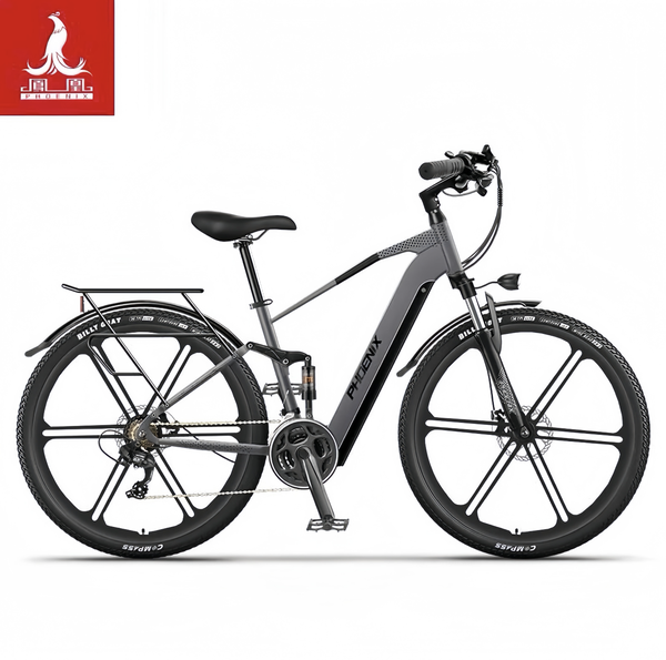 Xe đạp trợ lực điện Phoenix M19