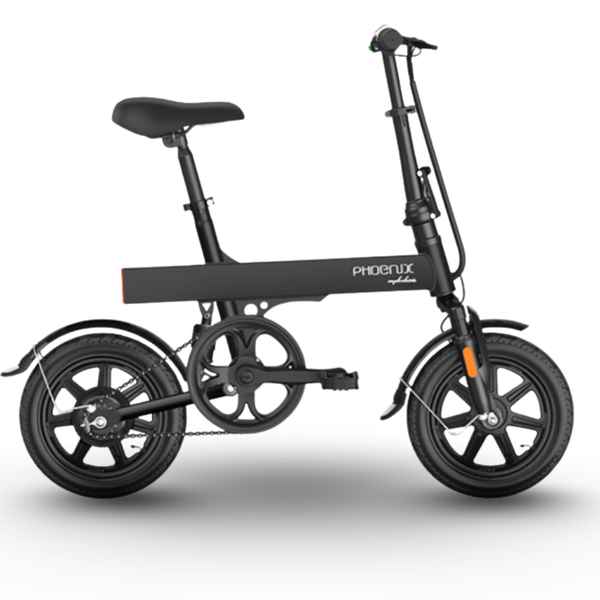 Xe đạp điện PHOENIX R14