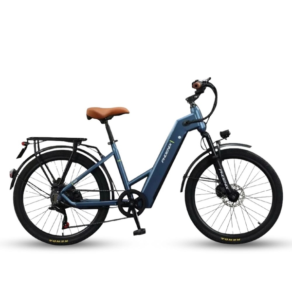 Xe Đạp Trợ Lực Điện Phoenix TR1