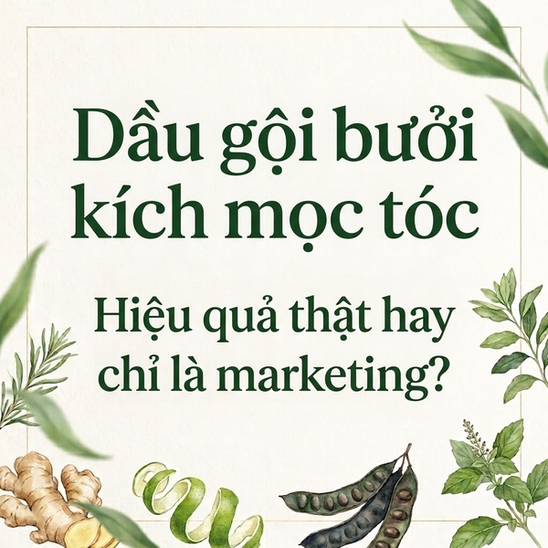 Dầu gội bưởi kích mọc tóc — Hiệu quả thật hay chỉ là marketing?