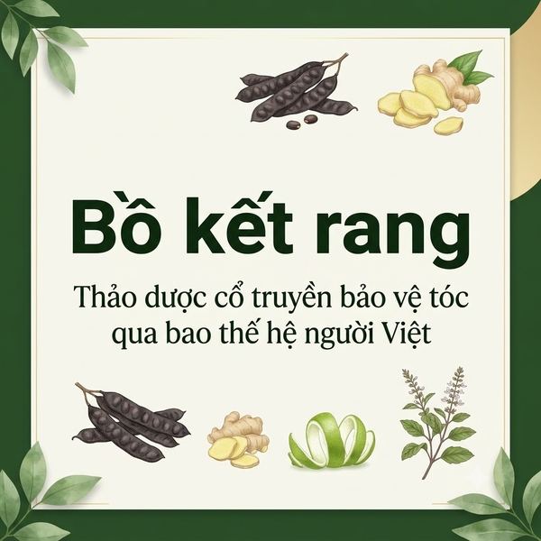 Bồ kết rang – Thảo dược cổ truyền bảo vệ tóc qua bao thế hệ người Việt