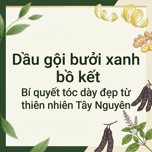 Dầu gội bưởi xanh bồ kết – Bí quyết tóc dày đẹp từ thiên nhiên Tây Nguyên
