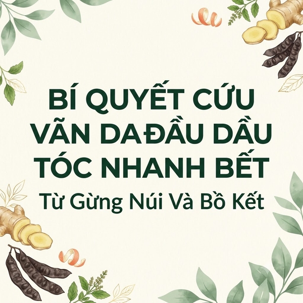 Bí Quyết Cứu Vãn Da Đầu Dầu Tóc Nhanh Bết Từ Gừng Núi Và Bồ Kết