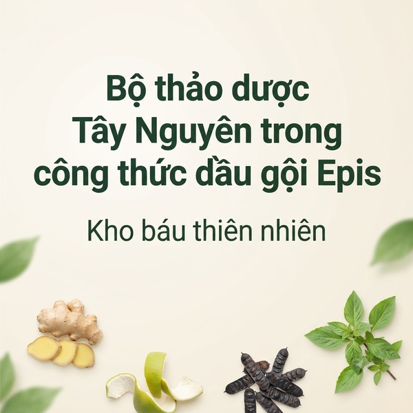 Bộ thảo dược Tây Nguyên trong công thức dầu gội Epis – Kho báu thiên nhiên