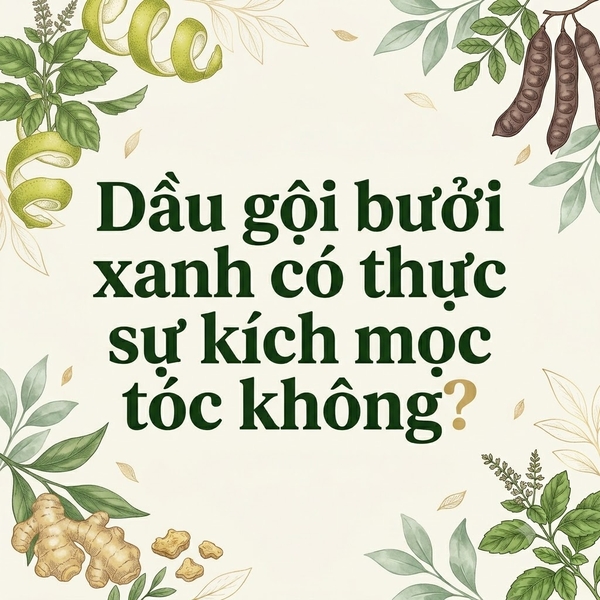 Dầu gội bưởi xanh có thực sự kích mọc tóc không?
