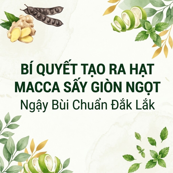 Bí Quyết Tạo Ra Hạt Macca Sấy Giòn Ngọt, Ngậy Bùi Chuẩn Đắk Lắk