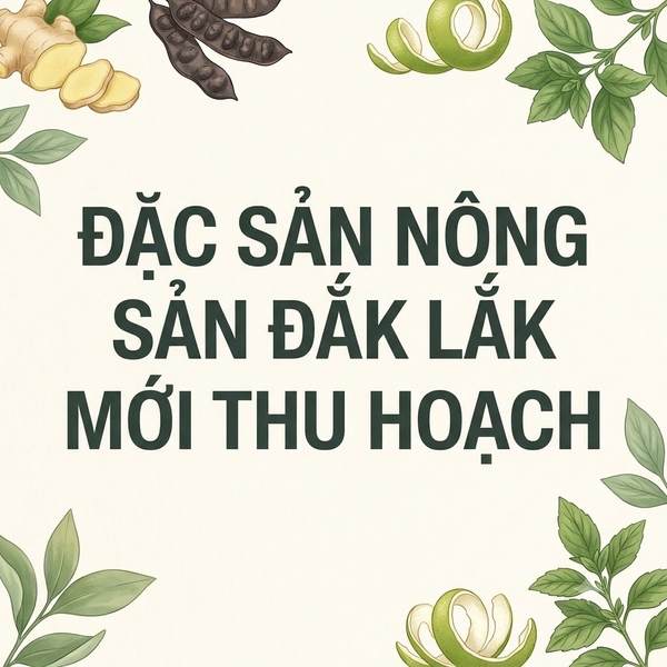 Đặc Sản Nông Sản Đắk Lắk Mới Thu Hoạch: Macca, Mè Đen, Đậu Đen Xanh Lòng &amp; Gạo Lứt Hữu Cơ