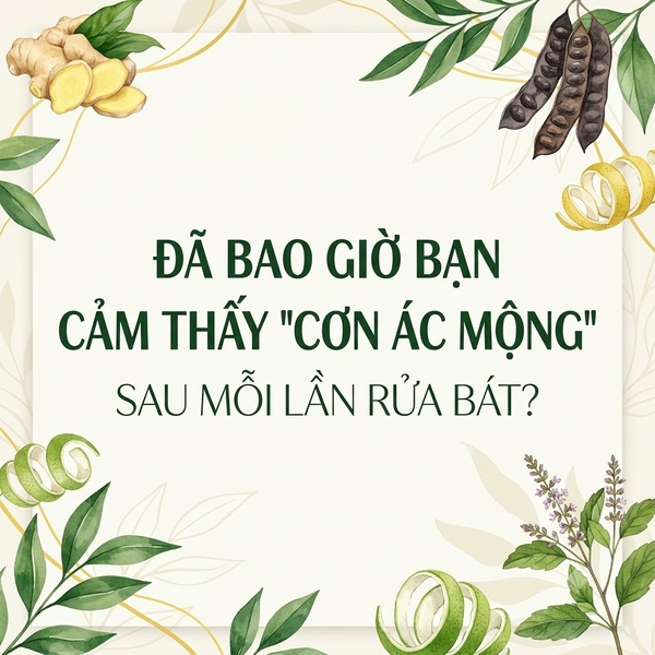 Đã Bao Giờ Bạn Cảm Thấy "Cơn Ác Mộng" Sau Mỗi Lần Rửa Bát?