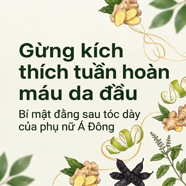 Gừng kích thích tuần hoàn máu da đầu – Bí mật đằng sau tóc dày của phụ nữ Á Đông