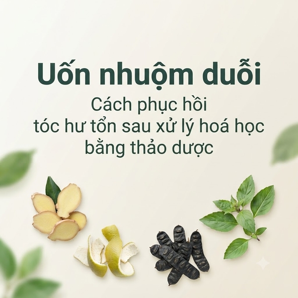 Uốn nhuộm duỗi – Cách phục hồi tóc hư tổn sau xử lý hoá học bằng thảo dược