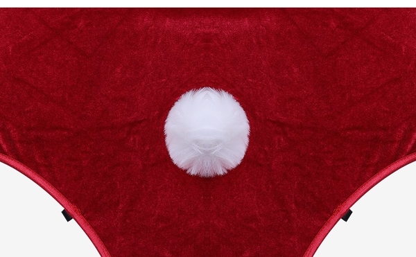 S094 Bunny set đồ cosplay hóa trang nàng thỏ quyến rũ dáng bodysuit kèm phụ kiện Bralettehousevn