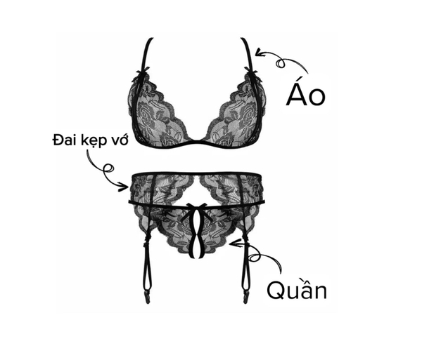 (Kèm kẹp vớ) Set đồ lót ren 3 món Erica Set S1962 gợi cảm cho nữ khoét đáy Bralettehousevn