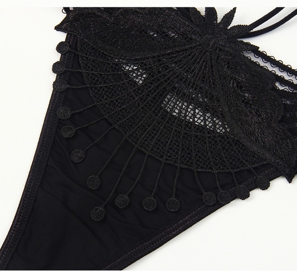 Quần lót nữ lọt khe phối ren Laurus Panties Q2149 gợi cảm dây Bralettehousevn