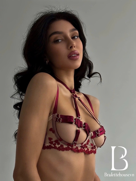 [KÈM ĐAI] Bộ đồ lót Many Set S2503 tông đỏ phối màu quyến rũ gợi cảm táo bạo Bralettehousevn