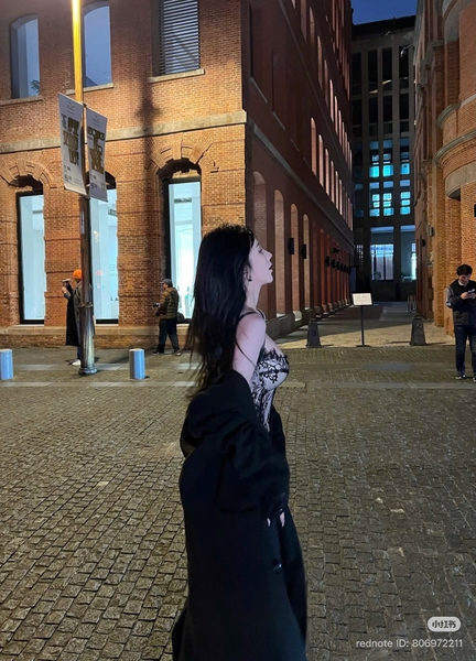 Áo corset cao cấp Lacie Corset S2692 ren lông mi sang trọng có gọng mút Bralettehousevn