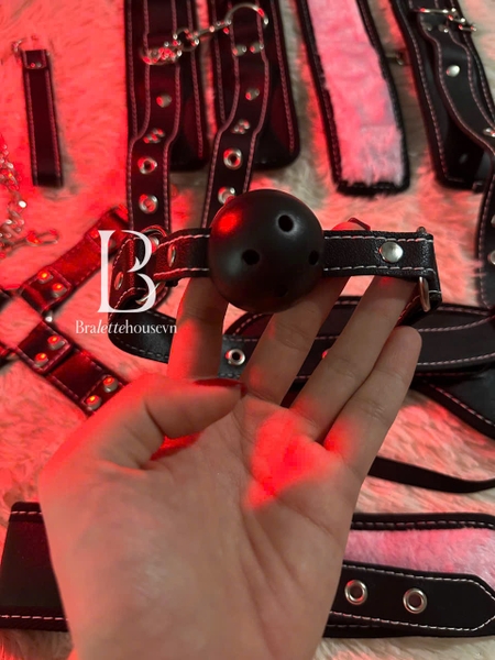 [18++] Bộ phụ kiện tình yêu Hardy Set PK2330 cao cấp da PU phối lông mềm 8 món phiên bản giới hạn Bralettehousevn