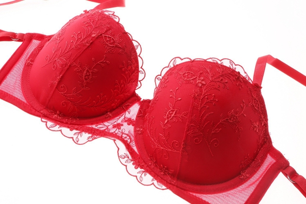 Bộ đồ lót nữ Theodora Set S2359 thêu hoa có gọng có mút nâng đỡ push - up tạo form ngực đẹp Bralettehousevn