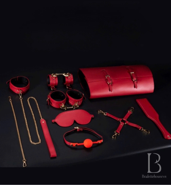 [18++] Bộ phụ kiện tình yêu cao cấp kèm bao da Trick Me Set siêu xịn sò 8 món Bralettehousevn