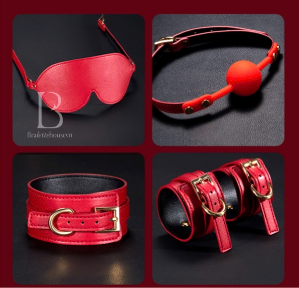 [18++] Bộ phụ kiện tình yêu cao cấp kèm bao da Trick Me Set siêu xịn sò 8 món Bralettehousevn