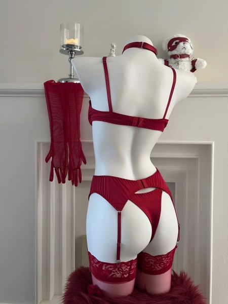 [KÈM GĂNG TAY] Glossy Set S2300 cột trước full phụ kiện cao cấp loại 1 gợi cảm táo bạo quyến rũ Bralettehousevn