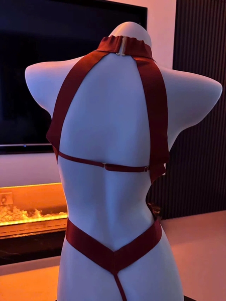 Bộ đồ liền thân gợi cảm Famy Bodysuit S2526 dây táo bạo quyến rũ nóng bỏng Bralettehousevn