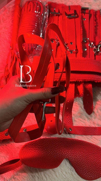 Bộ đồ 8 món phụ kiện LOVE ME HARDER SET PK275 da PU phối lông mềm Bralettehousevm