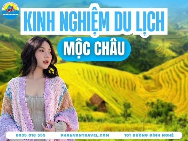 Kinh Nghiệm Du Lịch Mộc Châu 2026: Chơi Gì, Ăn Gì, Ở Đâu Từ A-Z?