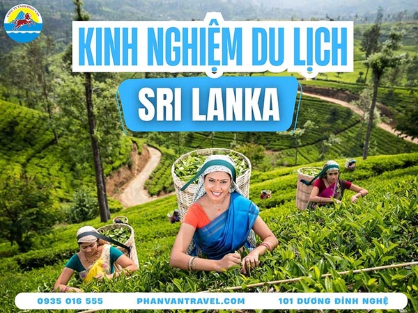 Kinh Nghiệm Du Lịch Sri Lanka 2026: Visa, Lịch Trình, Chi Phí