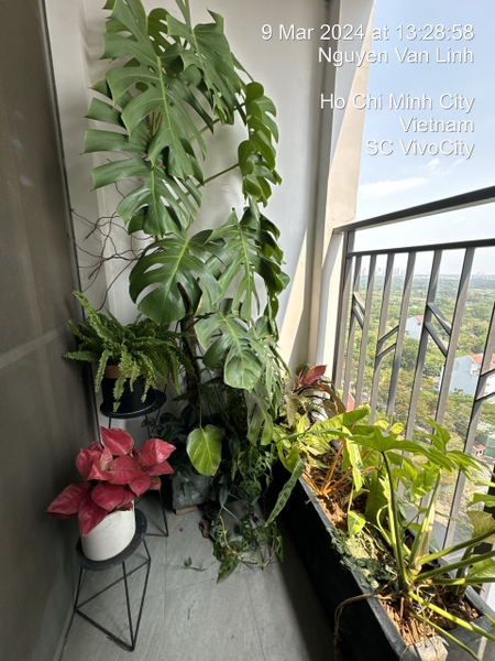 BÁN SAIGON SOUTH NỘI THẤT CAO CẤP