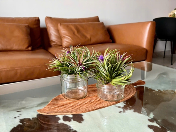 CHO THUÊ CĂN HỘ CHUNG CƯ MIDTOWN 2PN