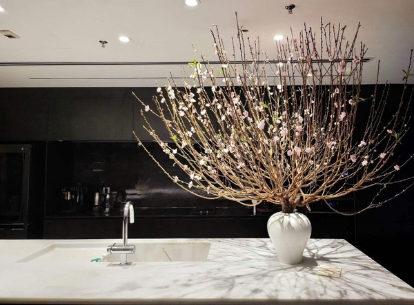 CHO THUÊ CĂN HỘ ĐẬP THÔNG MIDTOWN THE PEAK | 253M2 | THIẾT KẾ 3 PHÒNG NGỦ | 2 Ô XE HẦM