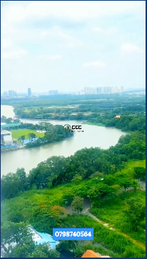 🌿 BÁN CĂN HỘ TẦNG CAO – VIEW SÔNG TUYỆT ĐẸP | SUNRISE RIVERSIDE 🌿