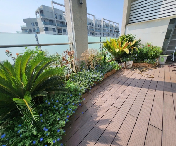 CHO THUÊ CĂN HỘ DUPLEX MASTERI THẢO ĐIỀN
