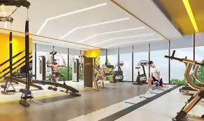 BÁN PENTHOUSE THE AURORA PHÚ MỸ HƯNG – 260 M2 – SÂN VƯỜN RIÊNG